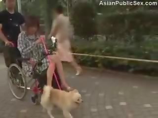 高潮 wheelchair 假阳具 在 公